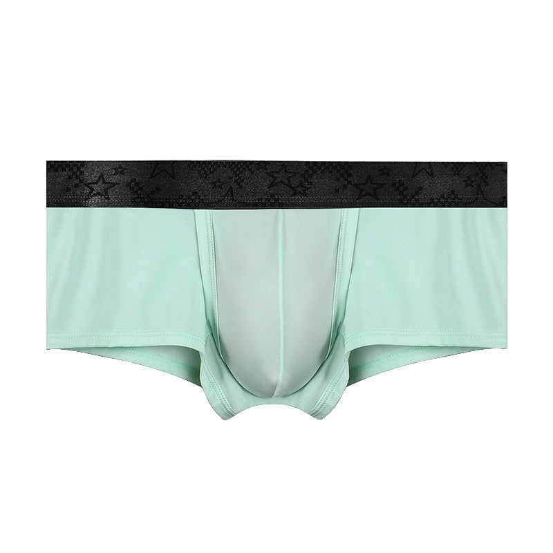 Spermatic Vein Underwear Ice Silk Summer Thin Boys Boyshorts
