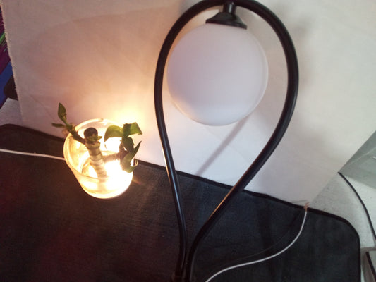 Nordic Bedroom Bedside Led Wall Lamp Golden Personality Home Lighting