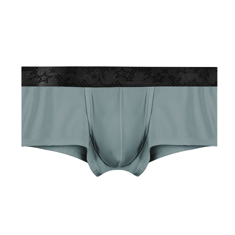 Spermatic Vein Underwear Ice Silk Summer Thin Boys Boyshorts