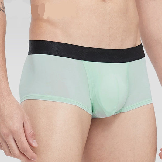 Spermatic Vein Underwear Ice Silk Summer Thin Boys Boyshorts